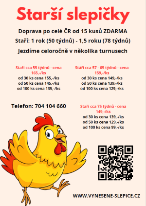 Prodej starších slepic