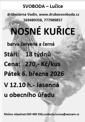 nosné kuřice