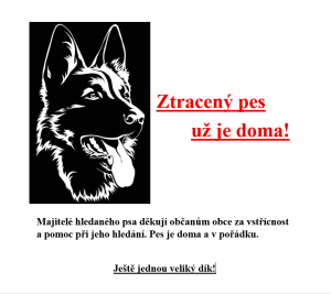 ztracený pes